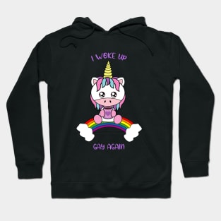 I woke up gay again Hoodie